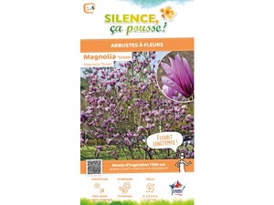 Magnolia Susan, Magnolier | Silence, ça pousse