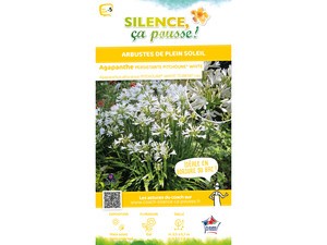 Agapanthe PITCHOUNE® WHITE | Silence, ça pousse