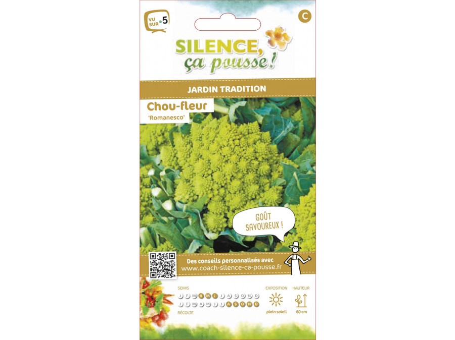 Chou Fleur Romanesco Silence Ca Pousse