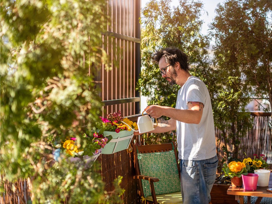 Quelles plantes brise-vue pour votre balcon ou votre terrasse ?