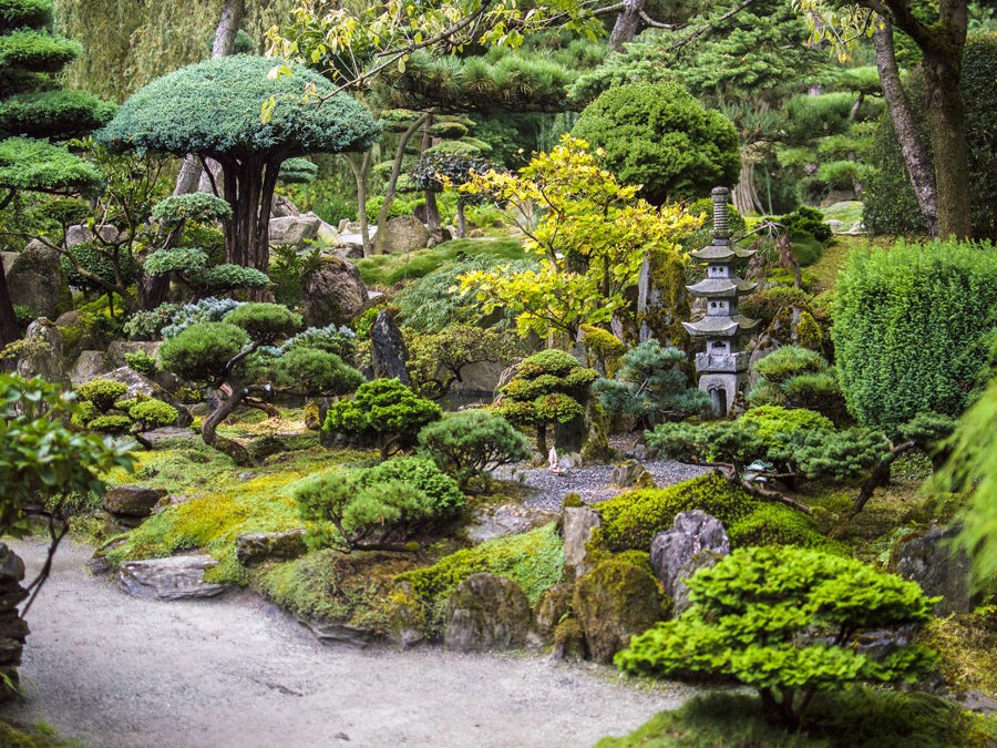 Jardin Japonais - Tout Savoir sur les Jardins Zen Japonais