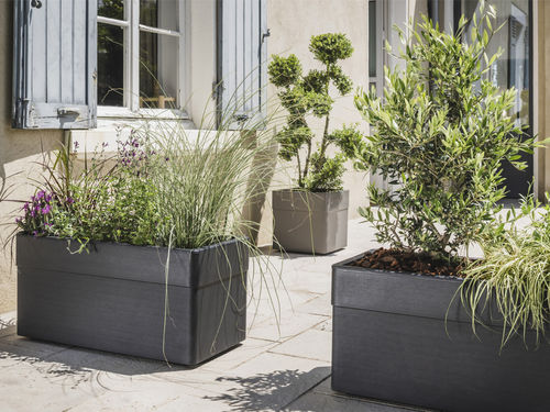 Quelles plantes brise-vue pour votre balcon ou votre terrasse ?