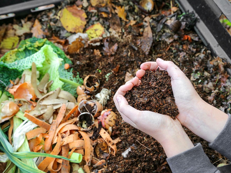 Le compost au jardin : bon pour les plantes, pour le potager et