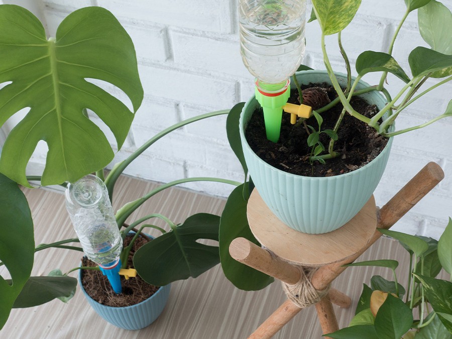 Un système d'arrosage par capillarité, une solution pour arroser vos plantes  pendant vos vacances