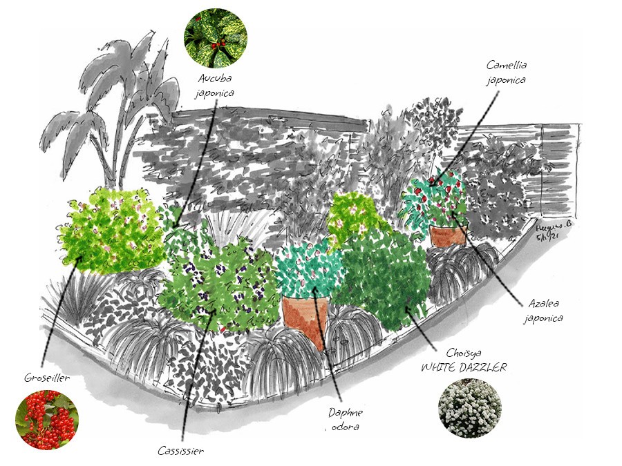 Etape-2-=-plantes-imposantes.jpg