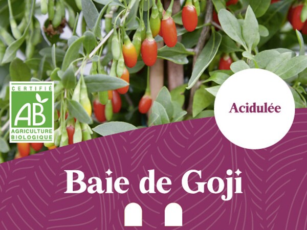 Baie de Goji BIO