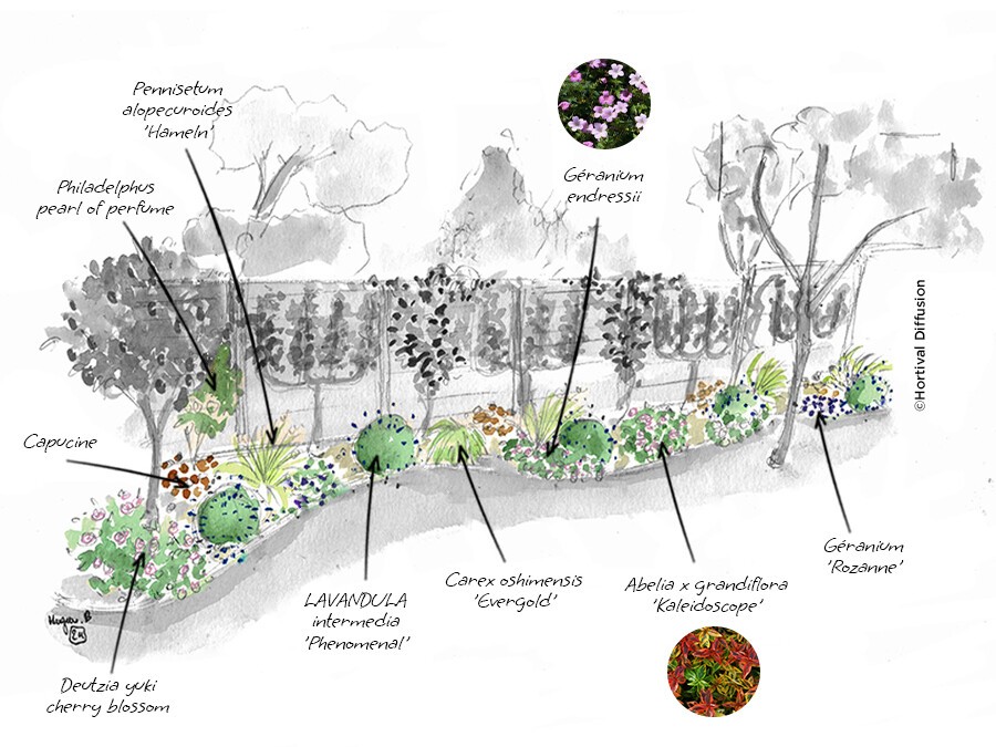 étape-2---plantes-ornementales.jpg